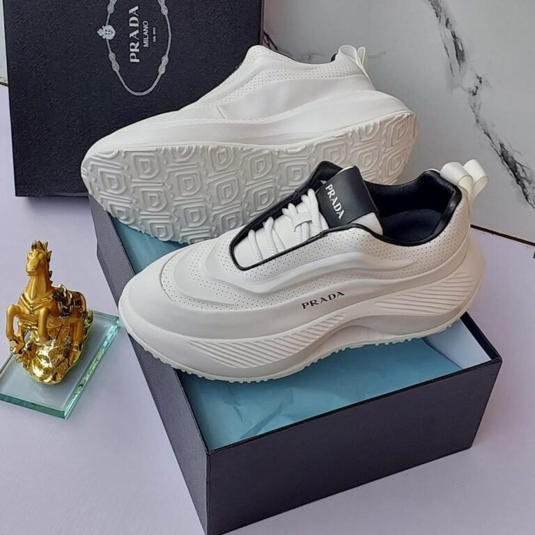 WhatsApp Image 2026 01 06 at 1.13.41 PM